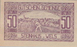 50 HELLER 1920 Stadt STEINHAUS BEI WELS Oberösterreich Österreich Notgeld #PE878 - Lokale Ausgaben