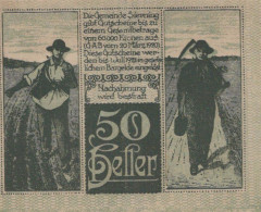50 HELLER 1920 Stadt SIERNING Oberösterreich Österreich UNC Österreich Notgeld #PH021 - [11] Local Banknote Issues
