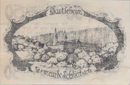 50 HELLER 1920 Stadt SCHLIERBACH Oberösterreich Österreich Notgeld #PE800 - [11] Local Banknote Issues