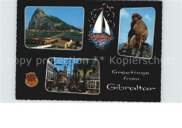 72581192 Gibraltar Felsen Affe Ortsmotiv Gibraltar - Gibilterra