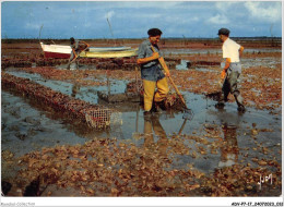 ADVP7-17-0551 - COULEURS ET LUMIERE DE FRANCE - LA TREMBLADE - Charente-maritime - La Culture Des Huîtres  - La Tremblade