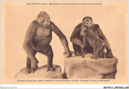 ADVP5-17-0374 - ILE D'AIX - Muséum Africain - Groupe De Gorilles - Mâle Femelle Et Jeune  - Sonstige & Ohne Zuordnung