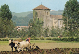 Pays Basque Aux Traditions Ancestrales - Landwirtschaftl. Anbau