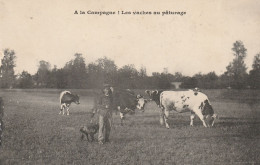 A La Campagne ! Les Vaches Au Pâturage, Le Jeune Vacher Et Son Chien - Mucche