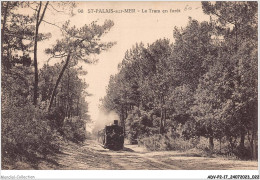 ADVP2-17-0105 - SAINT-PALAIS-SUR-MER - Le Tram En Forêt  - Saint-Palais-sur-Mer