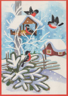 OISEAU Animaux Vintage Carte Postale CPSM #PAM825.FR - Vögel