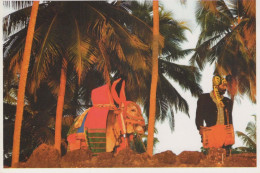 COW Animals Vintage Postcard CPSM #PBR826.GB - Mucche