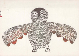 BIRD Animals Vintage Postcard CPSM #PBR702.GB - Vögel
