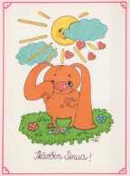 RABBIT Animals Vintage Postcard CPSM #PBR175.GB - Autres & Non Classés