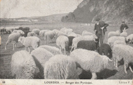 LOURDES - Berger Des Pyrénées - Moutons Blancs Et Moutons Noirs - Sonstige & Ohne Zuordnung
