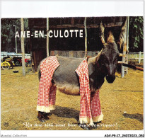 ADVP9-17-0716 - ILE DE RE - Ane-en-culotte  - Ile De Ré