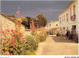 ADVP8-17-0678 - TALMONT - La Rue Du Port Fleurie De Roses Trémières  - Autres & Non Classés