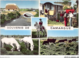 AFZP11-13-0878 - Souvenir De CAMARGUE - B-du-RH - Arles