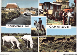 AFZP11-13-0857 - Souvenir De CAMARGUE - Arles