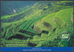 Indonesia 2000 Mint Postcard Paddy Field, Ciparay, Majalaya, West Java, Rice, Agriculture, Farm, Farming, Hill, Mountain - Indonesië