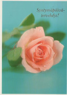 FLOWERS Vintage Ansichtskarte Postkarte CPSM #PAS237.DE - Fiori