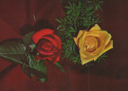 FLOWERS Vintage Ansichtskarte Postkarte CPSM #PAS177.DE - Fiori
