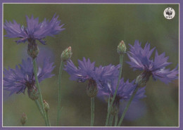 FLOWERS Vintage Ansichtskarte Postkarte CPSM #PAS417.DE - Fiori