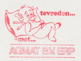 Meter Cut Netherlands 2001 Pig - Hoftiere
