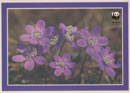 FLOWERS Vintage Ansichtskarte Postkarte CPSM #PAR396.DE - Flowers