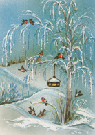 VOGEL Tier Vintage Ansichtskarte Postkarte CPSM #PAM765.DE - Oiseaux