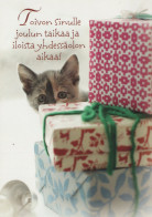 KATZE MIEZEKATZE Tier Vintage Ansichtskarte Postkarte CPSM #PAM510.DE - Cats