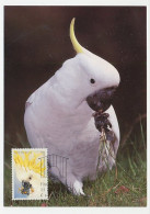 Maximum Card Australia 1991 Bird - Cockatoo - Otros & Sin Clasificación