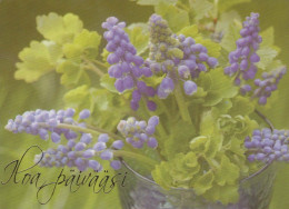 FLORES Vintage Tarjeta Postal CPSM #PBZ582.ES - Flowers