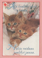 GATO GATITO Animales Vintage Tarjeta Postal CPSM #PBQ920.ES - Cats