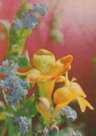 FIORI Vintage Cartolina CPSM #PAS478.IT - Flowers