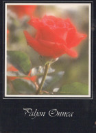 FIORI Vintage Cartolina CPSM #PAS238.IT - Flowers
