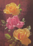 FIORI Vintage Cartolina CPSM #PAR997.IT - Flowers