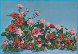 FIORI Vintage Cartolina CPSM #PAR757.IT - Flowers