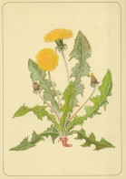 FIORI Vintage Cartolina CPSM #PAR337.IT - Flowers