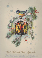 UCCELLO Animale Vintage Cartolina CPSM #PAN016.IT - Pájaros