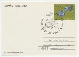 Card / Postmark Poland 1984 Beaver - Andere & Zonder Classificatie