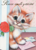 GATTO KITTY Animale Vintage Cartolina CPSM #PAM199.IT - Cats