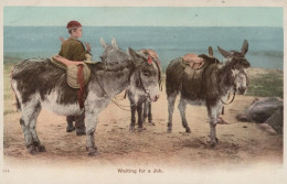 ESEL Tiere Vintage Antik Alt CPA Ansichtskarte Postkarte #PAA092.DE - Burros