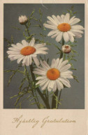 FLOWERS Vintage Ansichtskarte Postkarte CPA #PKE518.DE - Fleurs