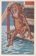 AFFE Tier Vintage Ansichtskarte Postkarte CPA #PKE765.DE - Singes