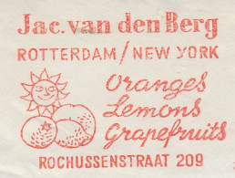 Meter Cut Netherlands 1965 Fruit - Oranges - Lemons - Grapefruits - Fruit