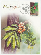 Maximum Card Indonesia 1996 Majegau - Bird - Hornbill - Obst & Früchte