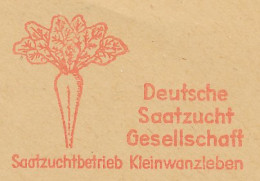 Meter Cut Deutsche Post / Germany 1950 Sugar Beet - Agricultura