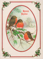 VOGEL Tier Vintage Ansichtskarte Postkarte CPSM #PBR391.DE - Vogels