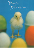 OSTERN HUHN EI Vintage Ansichtskarte Postkarte CPSM #PBP070.DE - Pâques