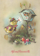 OSTERN HUHN EI Vintage Ansichtskarte Postkarte CPSM #PBO818.DE - Pâques