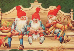 Neujahr Weihnachten GNOME Vintage Ansichtskarte Postkarte CPSM #PBA692.DE - Nouvel An