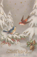 Buon Anno Natale UCCELLO Vintage Cartolina CPA #PKE828.IT - Nouvel An