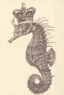 PESCE Animale Vintage Cartolina CPSM #PBS891.IT - Fish & Shellfish
