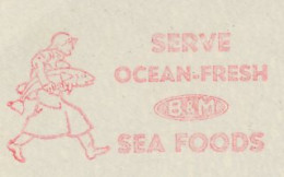 Meter Cut USA 1940 Fish - Sea Foods - Poissons